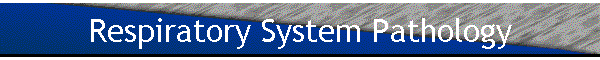Respiratory System Pathology