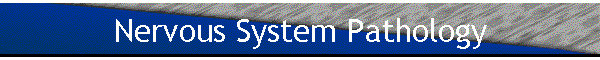 Nervous System Pathology